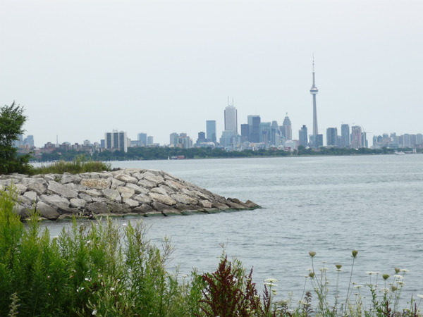 humber bay - Lisa Rubini-LaForest